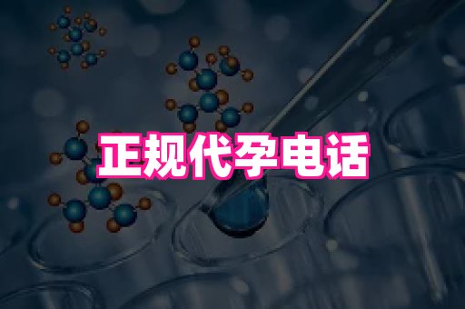 国际助孕网站 2