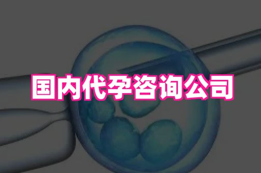 国际助孕网站 4